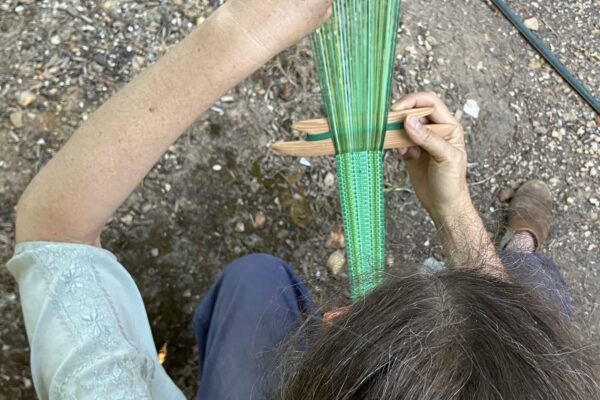 GreenBackstrap2