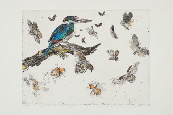 JW_Forest Kingfisher with scavenger moths and bombardier beetles. 2021 Etching.