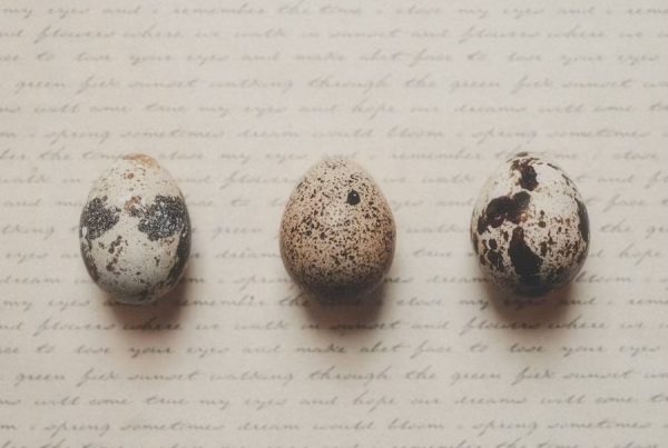 Photo credit Anya Chernykh on Unsplash